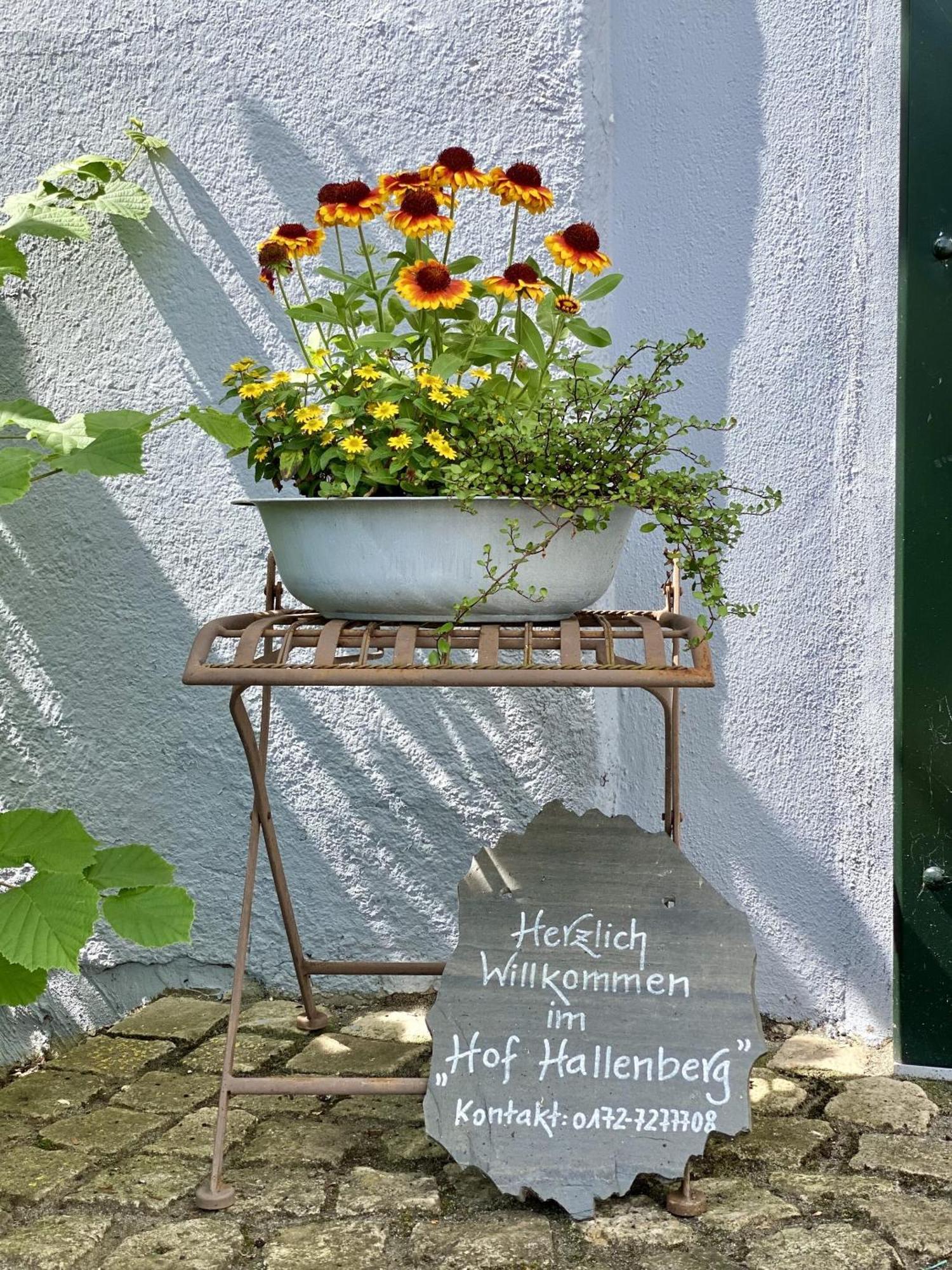 Hof Hallenberg Dış mekan fotoğraf